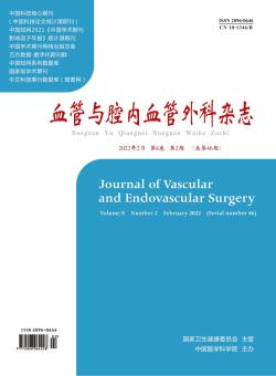 血管与腔内血管外科期刊